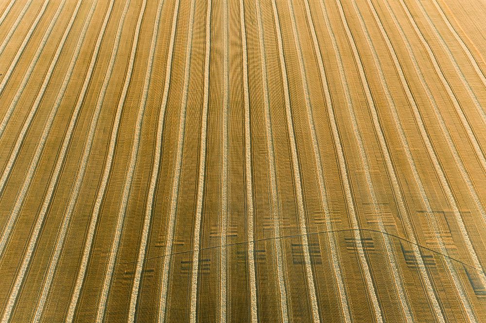 Aerial view of rows of wheat straw before baling-Marion County-Illinois art print by Richard and Susan Day for $57.95 CAD