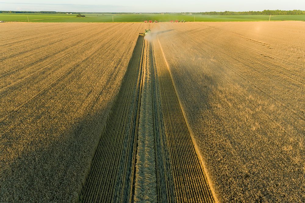 Aerial view of combine harvesting wheat at sunset-Marion County-Illinois art print by Richard and Susan Day for $57.95 CAD