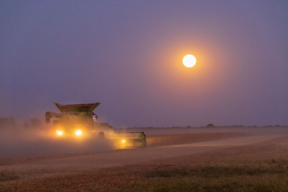 Combine harvesting soybeans as full moon rises (harvest moon)-Marion County-Illinois art print by Richard and Susan Day for $57.95 CAD