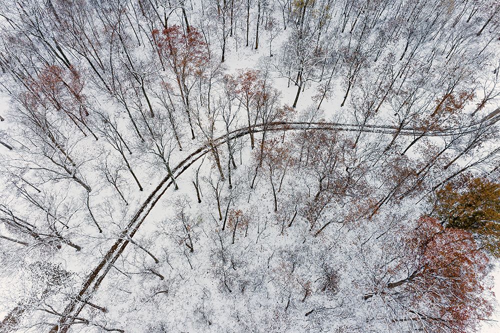 Aerial of forest and road after snowfall-Marion County-Illinois art print by Richard and Susan Day for $57.95 CAD