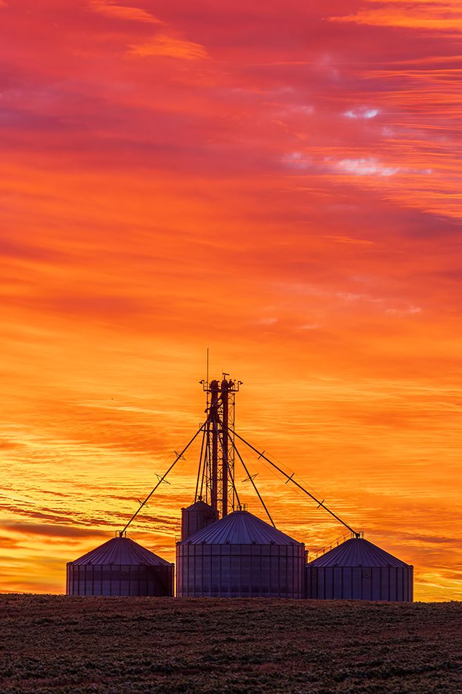 Grain bins silhouetted at sunrise Clay County-Illinois art print by Richard and Susan Day for $57.95 CAD