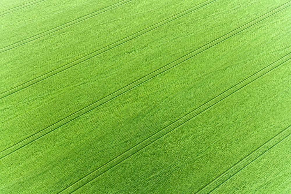 Aerial view of wheat field, Marion County, Illinois. art print by Richard and Susan Day for $57.95 CAD