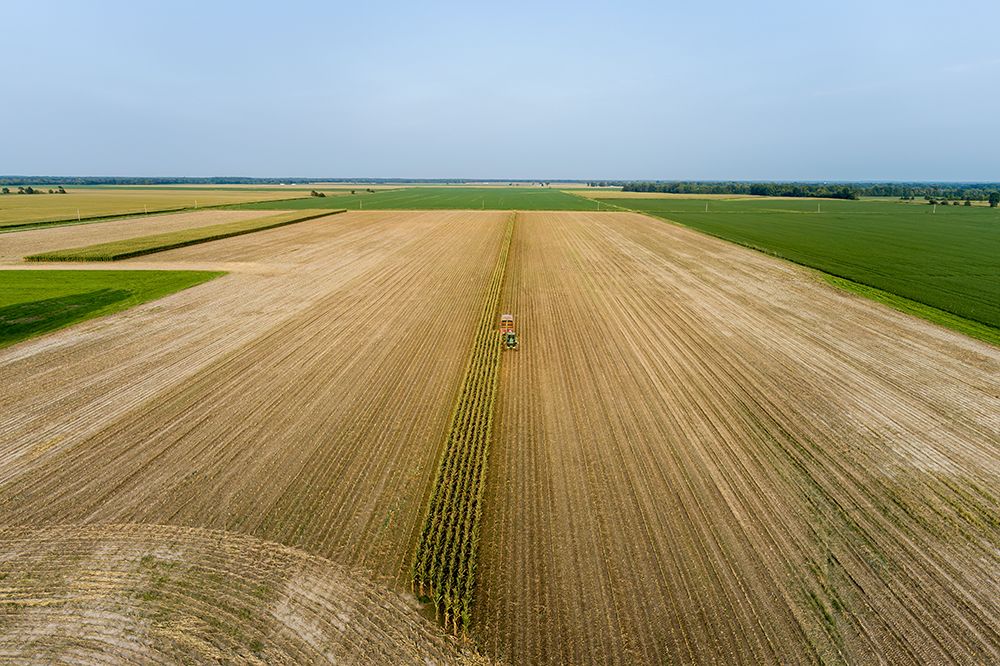 Aerial view of farmer cutting corn silage for cattle feed, Marion County, Illinois. art print by Richard and Susan Day for $57.95 CAD