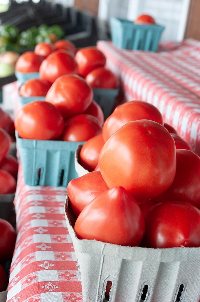 Fresh tomatoes in Shipshewana farmers market in Amish country Indiana art print by Alan Klehr for $57.95 CAD