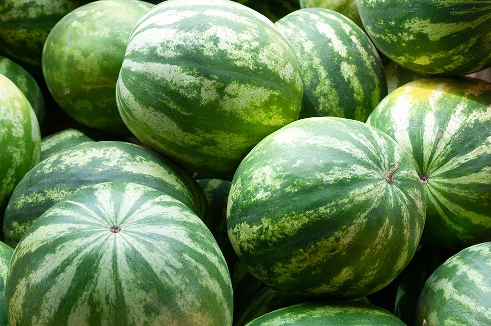 Fresh watermelon in Shipshewana farmers market in Amish country Indiana art print by Alan Klehr for $57.95 CAD