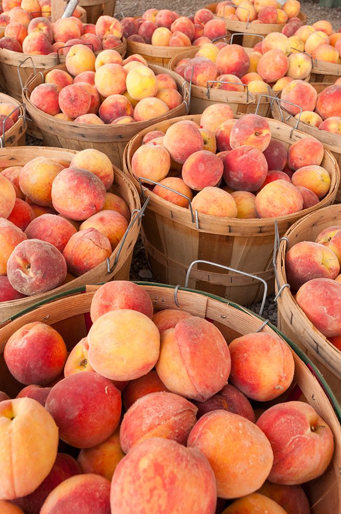 Fresh peaches in Shipshewana farmers market in Amish country Indiana art print by Alan Klehr for $57.95 CAD