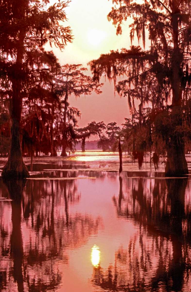 Louisiana Sunset on a Atchafalaya Basin bayou art print by Dave Welling for $57.95 CAD