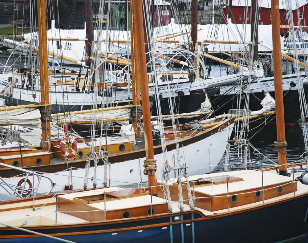 USA, Maine, Camden Sailboats in harbor art print by Steve Terrill for $57.95 CAD