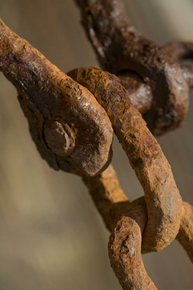 USA, Maine, Harpswell Rusted chain on a pier art print by Kathleen Clemons for $57.95 CAD