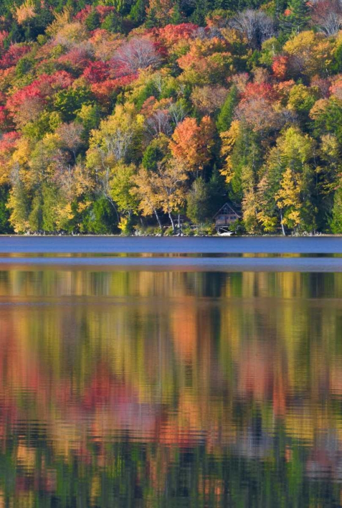 ME, Acadia NP Fall foliage and lake art print by Nancy Rotenberg for $57.95 CAD