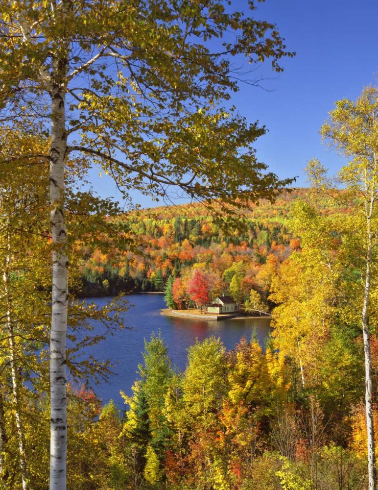 USA, Maine, Bingham Wyman Lake and autumn colors art print by Steve Terrill for $57.95 CAD