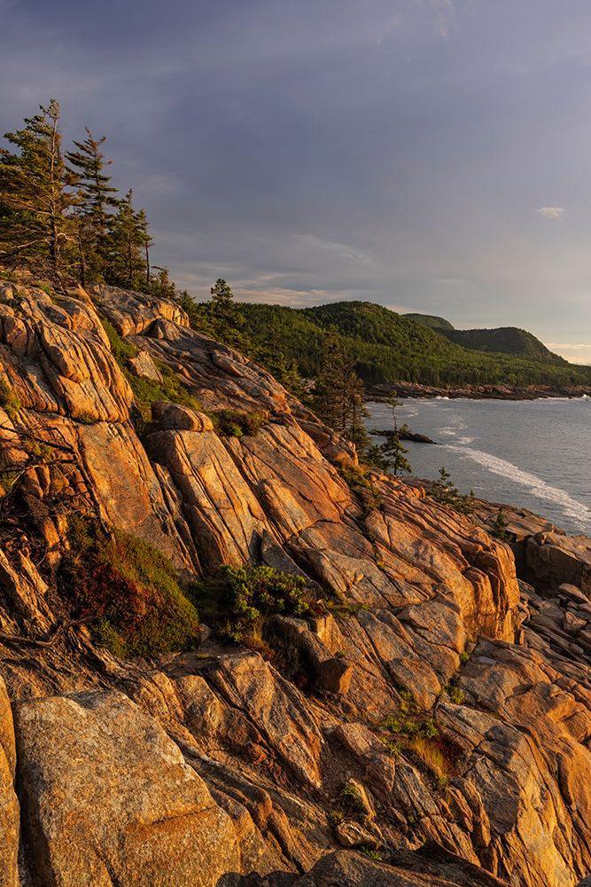 Otter Cliffs at sunrise in Acadia National Park-Maine-USA art print by Chuck Haney for $57.95 CAD