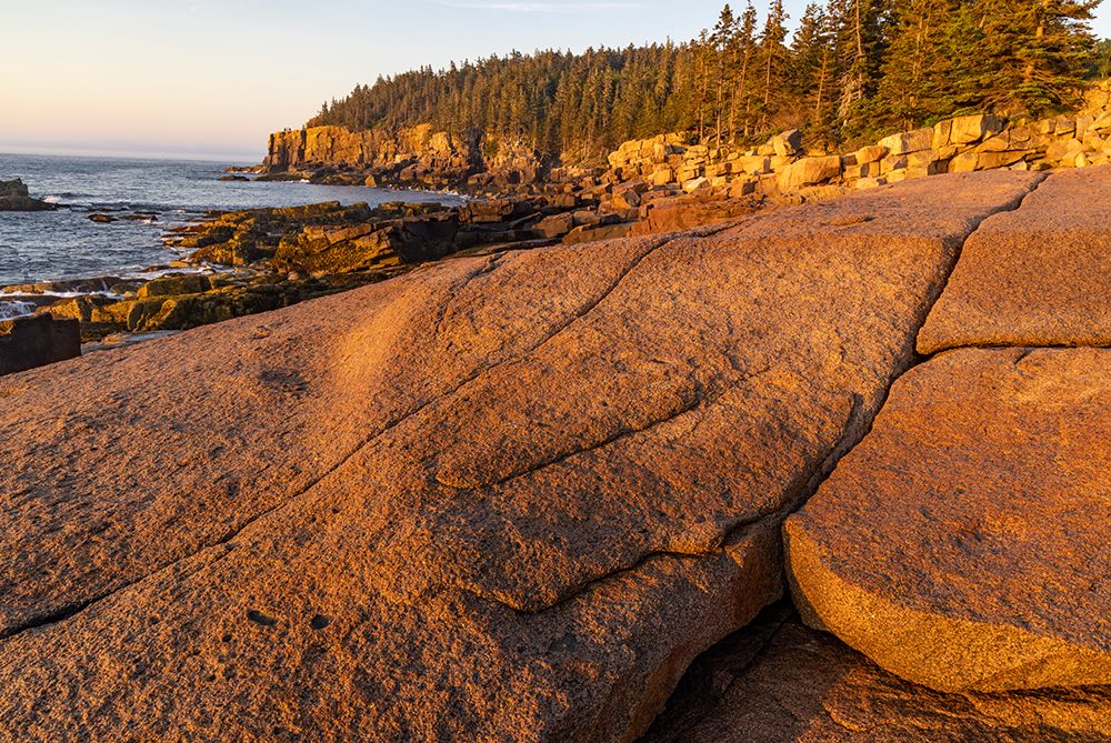 Otter Cliffs at sunrise n Acadia National Park-Maine-USA art print by Chuck Haney for $57.95 CAD