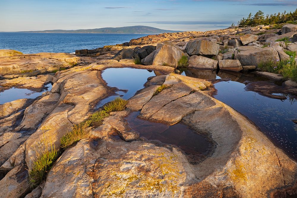Puddles reflect in the pink granite at Schoodic Point in Acadia National Park-Maine-USA art print by Chuck Haney for $57.95 CAD