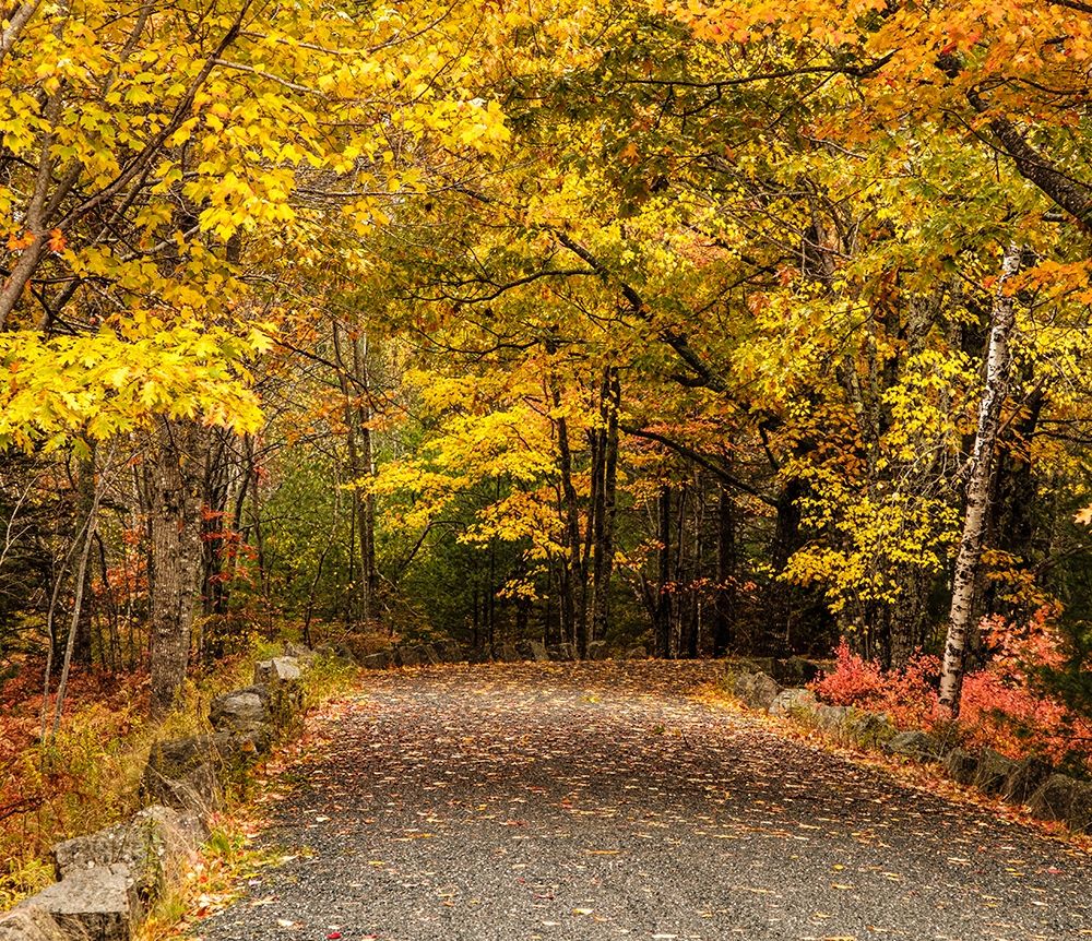 Maine-autumn colors art print by George Theodore for $57.95 CAD