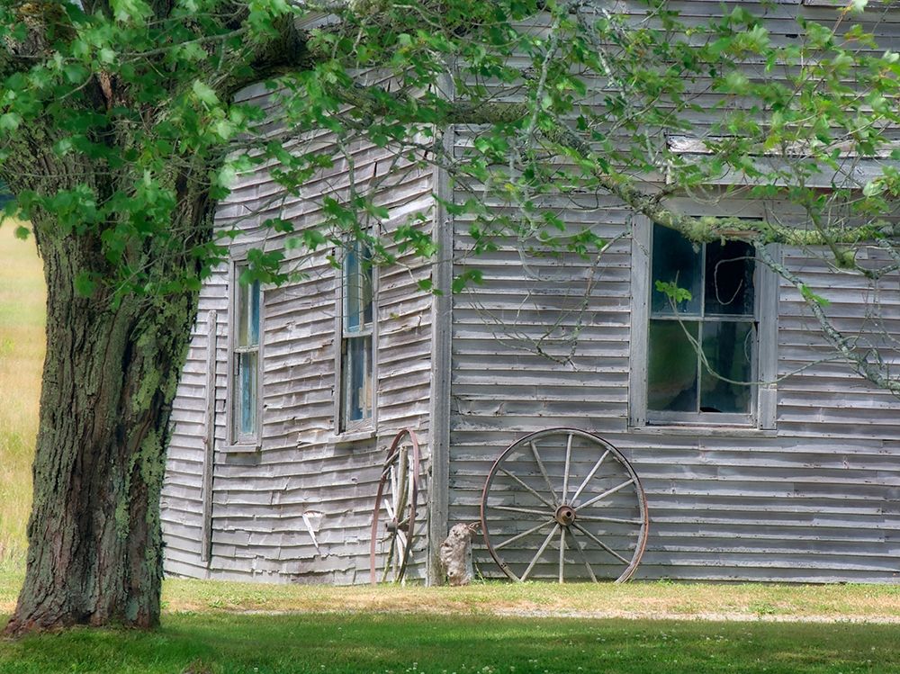 Maine Historic Stone Barn Farm (1820) in Bar Harbor art print by Julie Eggers for $57.95 CAD