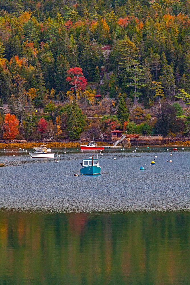 USA-New England-Maine-Mt-Desert-Southwest Harbor with wooden boats art print by Sylvia Gulin for $57.95 CAD
