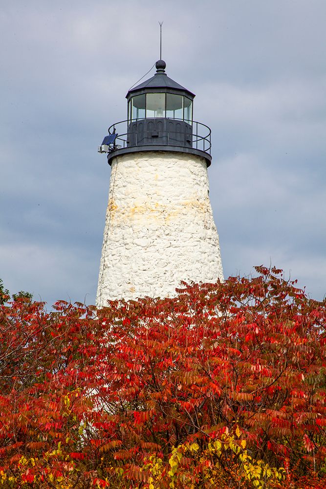 USA-New England-Maine-Dyce Head Lighthouse art print by Sylvia Gulin for $57.95 CAD