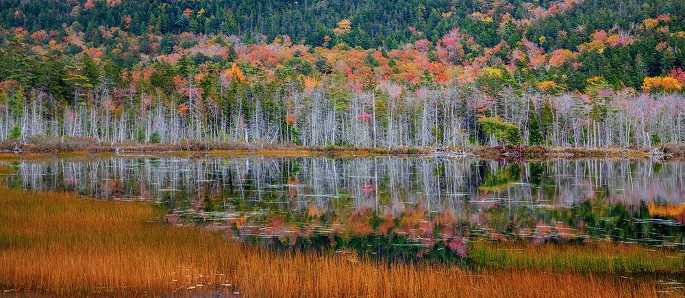 USA-New England-Maine-Mt-Desert Island-Acadia National Park with small lake with hillsides in Autum art print by Sylvia Gulin for $57.95 CAD