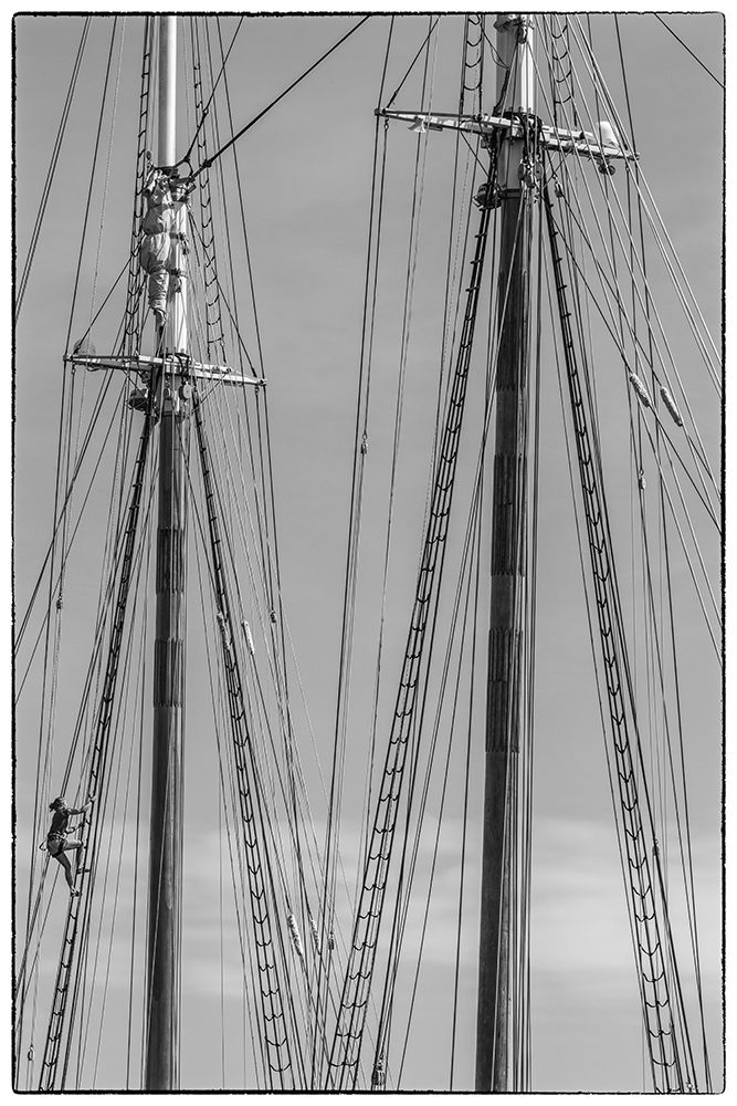 New England-Massachusetts-Cape Ann-Gloucester-Gloucester Schooner Festival-schooner masts art print by Walter Bibikow for $57.95 CAD