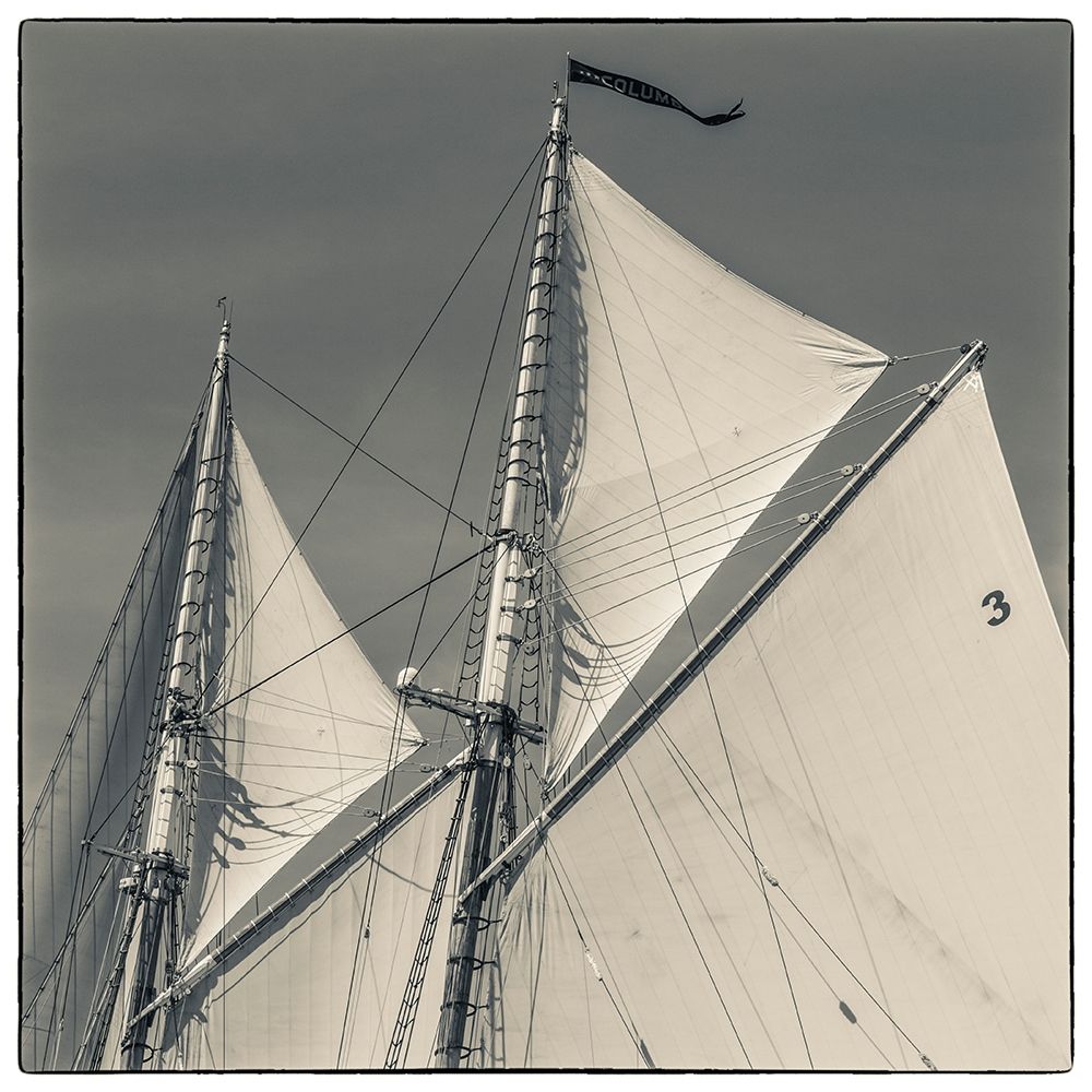 New England-Massachusetts-Cape Ann-Gloucester-Gloucester Schooner Festival-schooner sails art print by Walter Bibikow for $57.95 CAD
