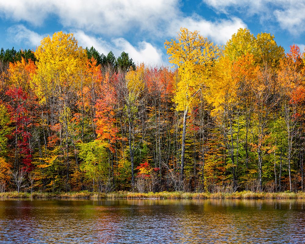 USA-Michigan-Upper Peninsula-Munising Autumn trees at Thornton Lake art print by Ann Collins for $57.95 CAD