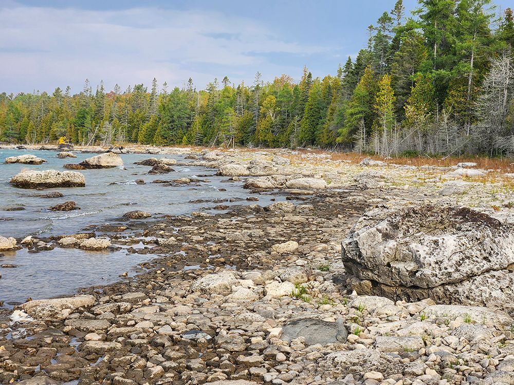 Carl A. Gerstacker Nature Preserve on Dudley Bay along the shores of Lake Huron, Michigan. art print by Alan Klehr for $57.95 CAD