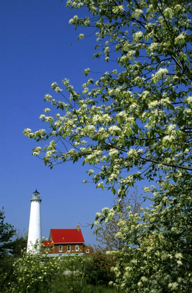 MI, East Tawas Tawas Lighthouse and cherry trees art print by Mark Carlson for $57.95 CAD