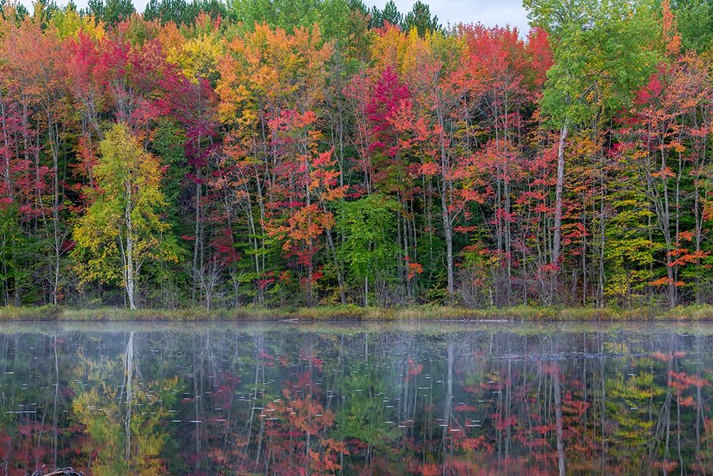 Thornton Lake in fall color-Alger County-Michigan art print by Richard and Susan Day for $57.95 CAD