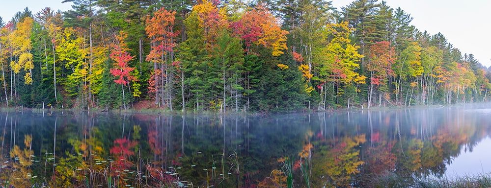 Council Lake in fall-Alger County-Michigan art print by Richard and Susan Day for $57.95 CAD