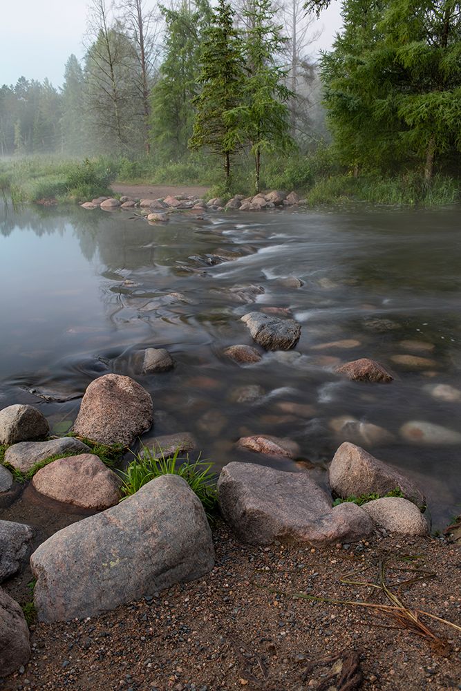 USA-Minnesota-Itasca State Park-Mississippi Headwaters art print by Peter Hawkins for $57.95 CAD