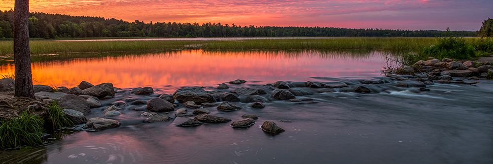 USA-Minnesota-Itasca State Park-Mississippi Headwaters art print by Peter Hawkins for $57.95 CAD