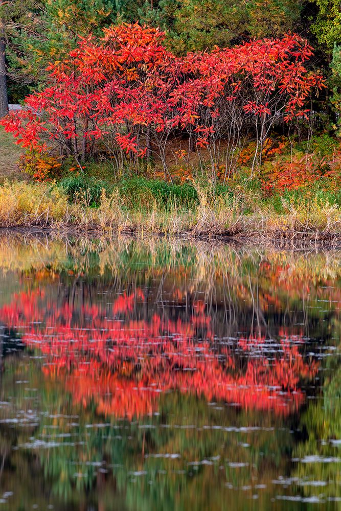 USA-Minnsota-Duluth-Fall Color art print by Peter Hawkins for $57.95 CAD
