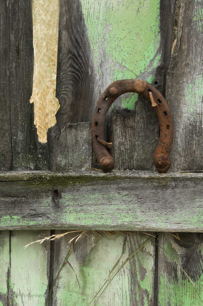 Montana Horseshoe on old fence of a homestead art print by Nancy Rotenberg for $57.95 CAD