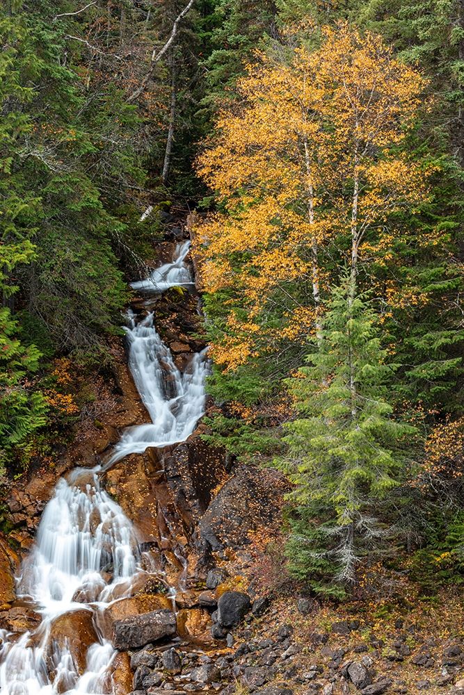 Fawn Creek Falls in autumn in the Flathead National Forest-Montana-USA art print by Chuck Haney for $57.95 CAD
