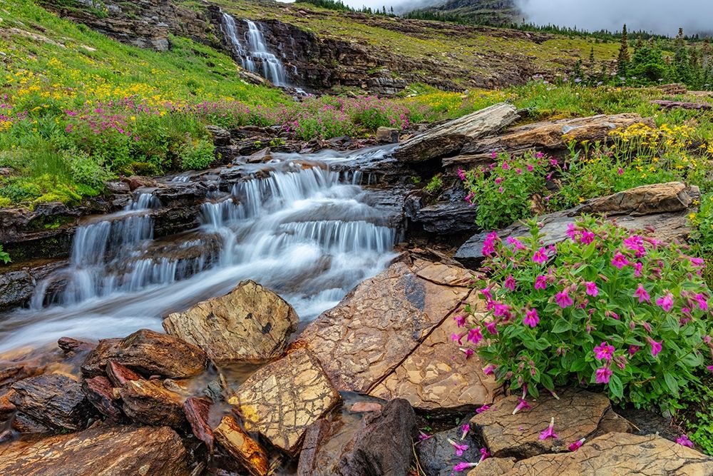 Alpine wildflowers along Oberlin Creek in Glacier National Park-Montana-USA art print by Chuck Haney for $57.95 CAD
