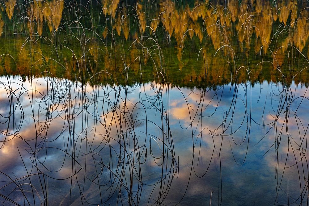 Autumn reflections in Spencer Lake near Whitefish-Montana-USA art print by Chuck Haney for $57.95 CAD