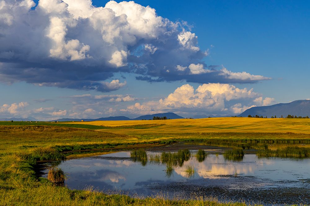 Wetlands pond in the Flathead Valley-Montana-USA art print by Chuck Haney for $57.95 CAD