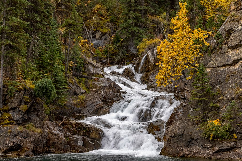 Gros Ventre Falls in autumn-Glacier National Park-Montana-USA art print by Chuck Haney for $57.95 CAD