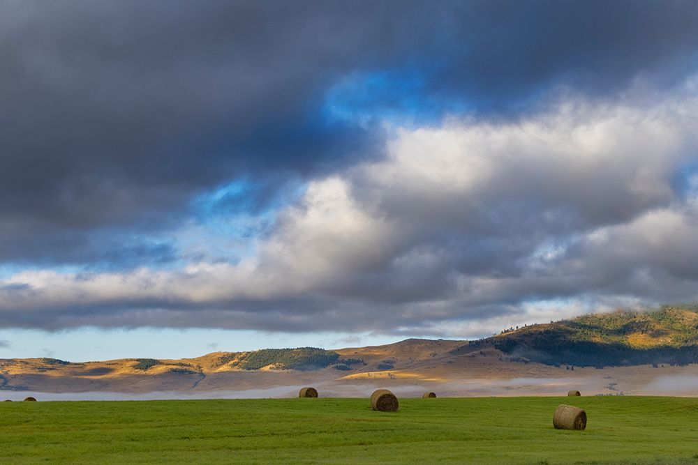 Hay bales in clearing fog with Salish Mountains in Lake County-Montana-USA art print by Chuck Haney for $57.95 CAD
