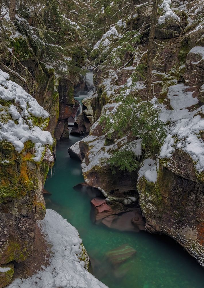 Avalanche Creek Gorge in winter in Glacier National Park-Montana-USA art print by Chuck Haney for $57.95 CAD