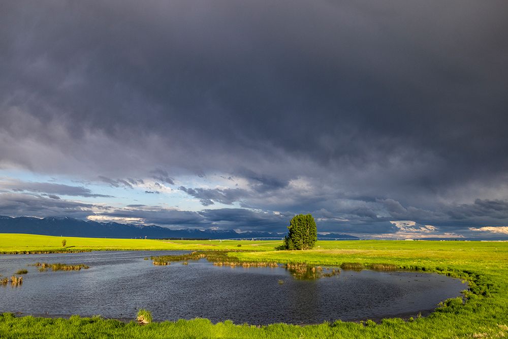 Stormy clouds over wetlands habitat in the Flathead Valley-Montana-USA art print by Chuck Haney for $57.95 CAD