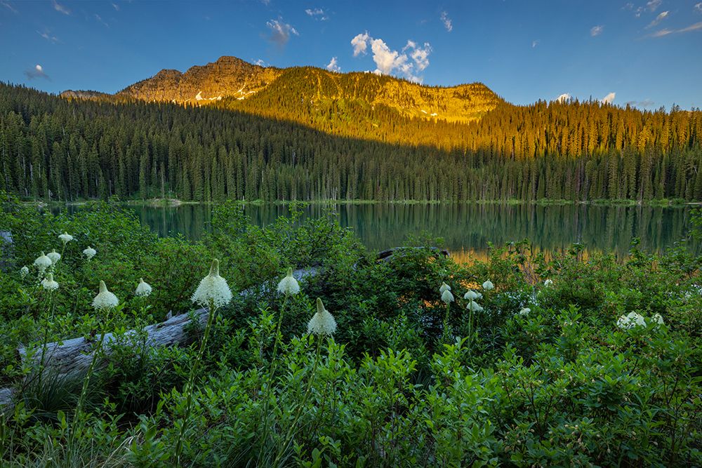 Beargrass and Little Therriault Lake at sunrise in the Kootenai National Forest-Montana-USA art print by Chuck Haney for $57.95 CAD