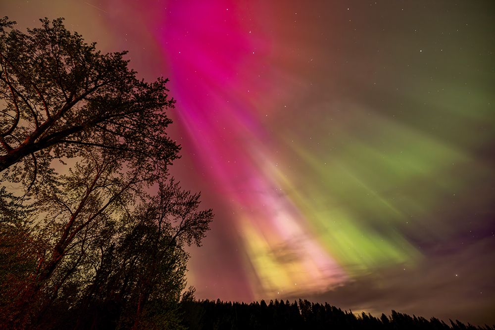 The Northern Lights shine bright in Whitefish, Montana, USA. art print by Chuck Haney for $57.95 CAD