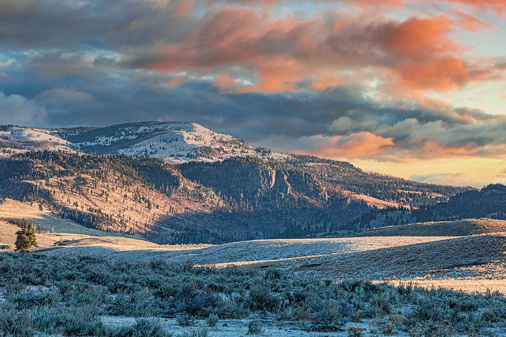 Northern Range of Yellowstone National Park. art print by Michael Schertz for $57.95 CAD