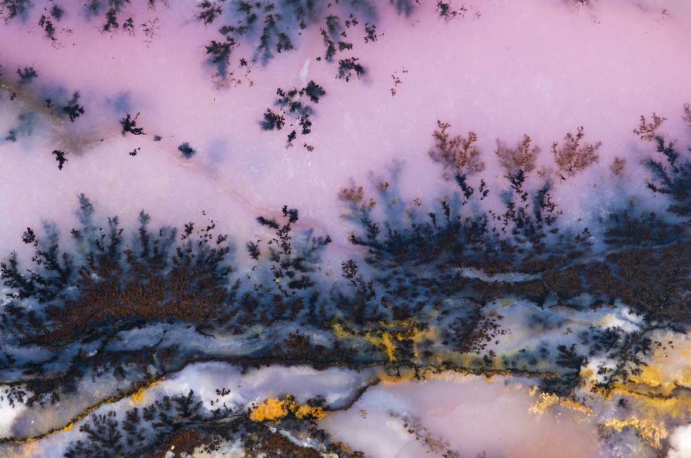 USA, Nevada Close-up of amethyst sage agate art print by Dennis Kirkland for $57.95 CAD