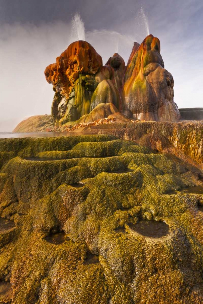 Nevada, Black Rock Desert View of the Fly Geyser art print by Cathy and Gordon Illg for $57.95 CAD