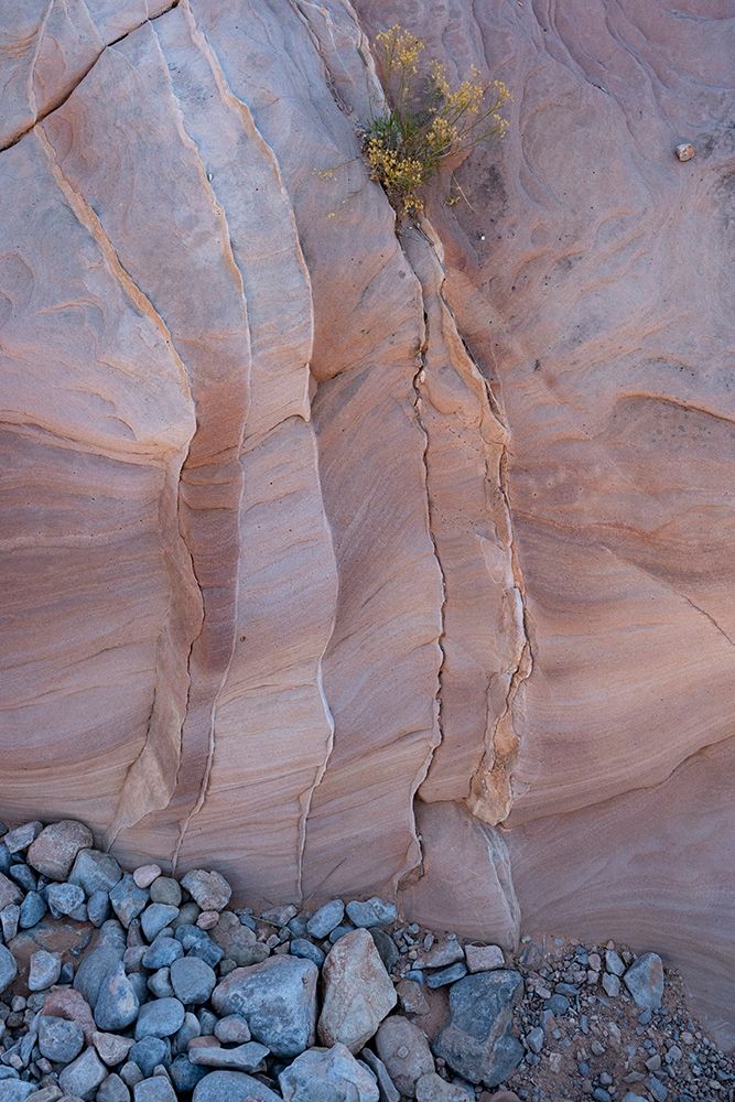 USA-Nevada Abstract lines in the sandstone-Valley of Fire State Park art print by Judith Zimmerman for $57.95 CAD
