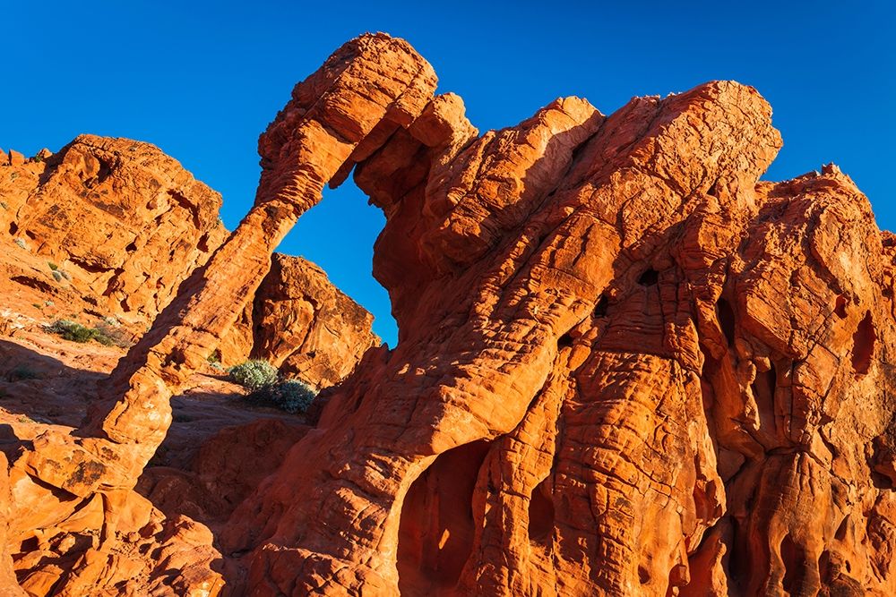Morning light on Elephant Rock-Valley of Fire State Park-Nevada-USA art print by Russ Bishop for $57.95 CAD