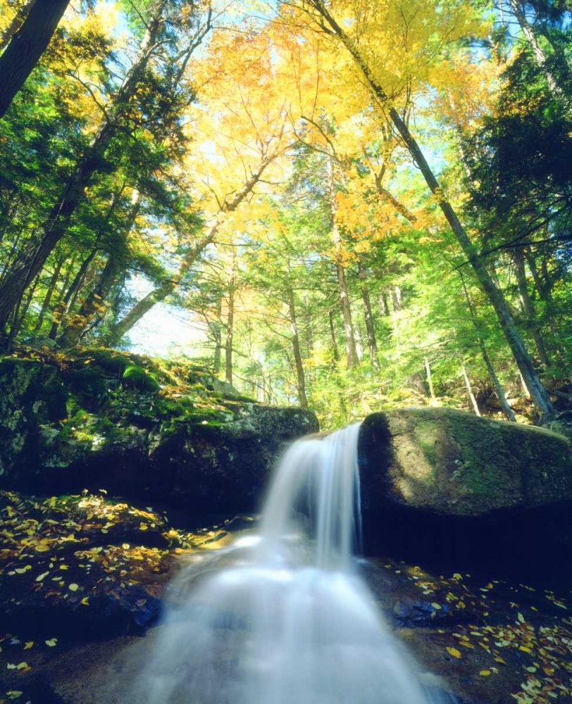 New Hampshire, A waterfall in the White Mountains art print by Christopher Talbot Frank for $57.95 CAD
